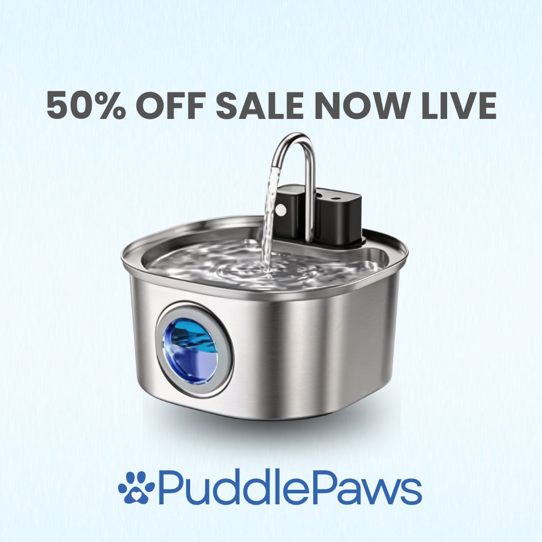 PuddlePaws - Wireless Automatic Pet Water Fountain