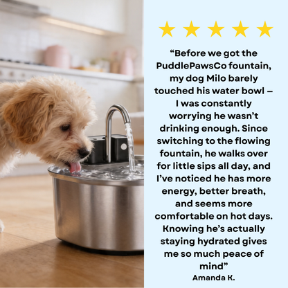 PuddlePaws - Wireless Automatic Pet Water Fountain